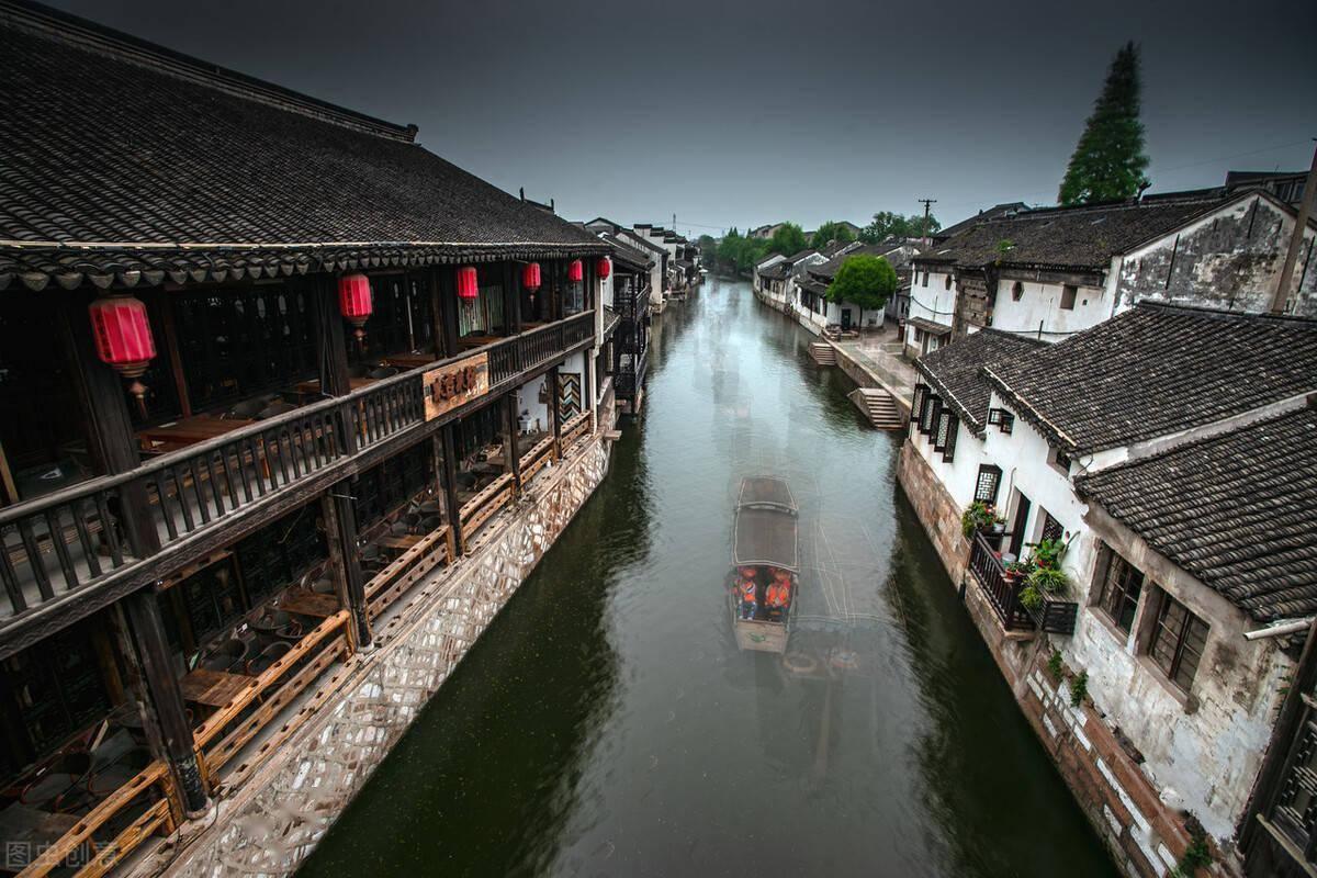 五彩鹦鹉救援